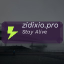 zidixio.pro