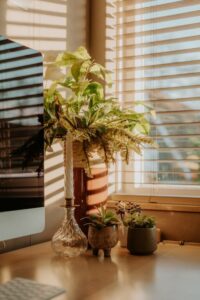 resized_106148